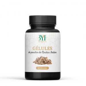 Gélules Costus Indien